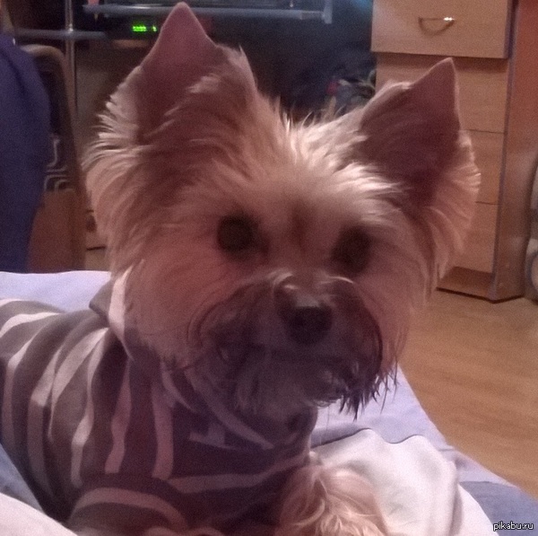 �������� ����� ����� �����!   �������������� ����������!!!!