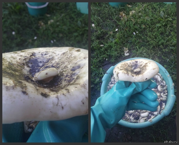 ����-���� � ��� �������