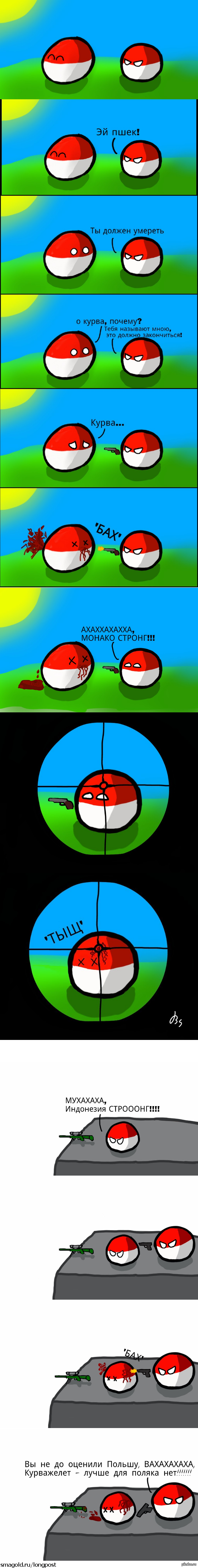 Пшеки. Индонезия Монако и Польша Countryballs. Поляки пшеки. Пшек пшек пшек.