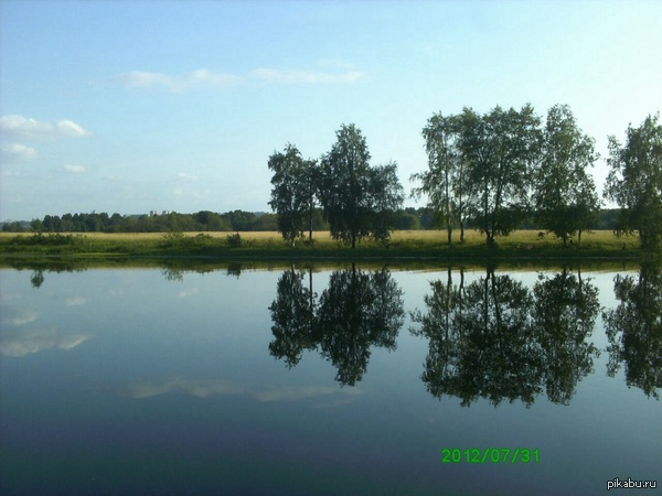 Природа вместо политики