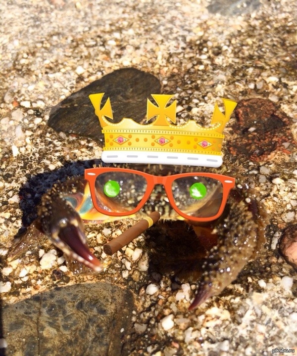   :D 