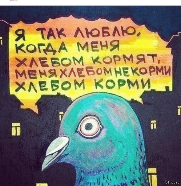 Хлебом не корми хлебом покорми. Кормление птиц запрещено. Хлебом не корми значение. Хлебом не корми значение. Не кормите уток хлебом.