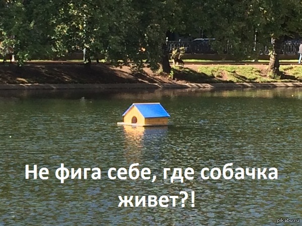 �� ���� ����..