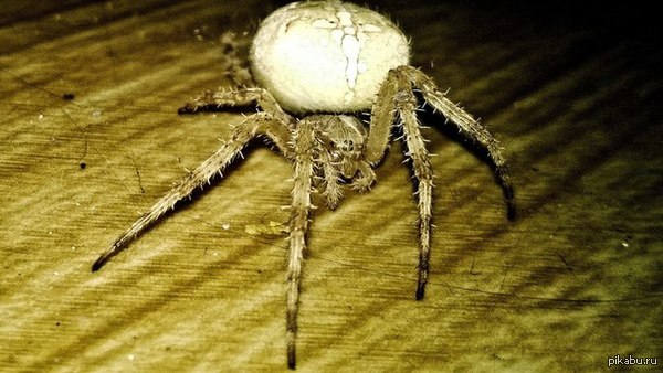 ��������� ����� � �������