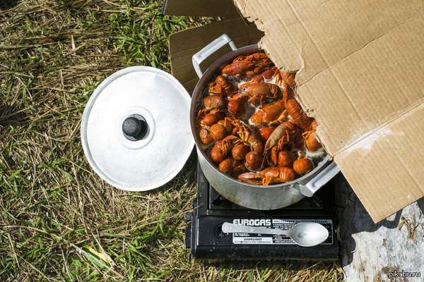 Съездил за раками, закрыл сезон.