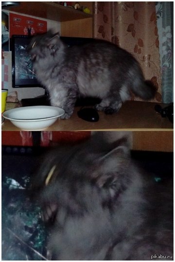 Смотрю Кинг конг. И тут... | Пикабу