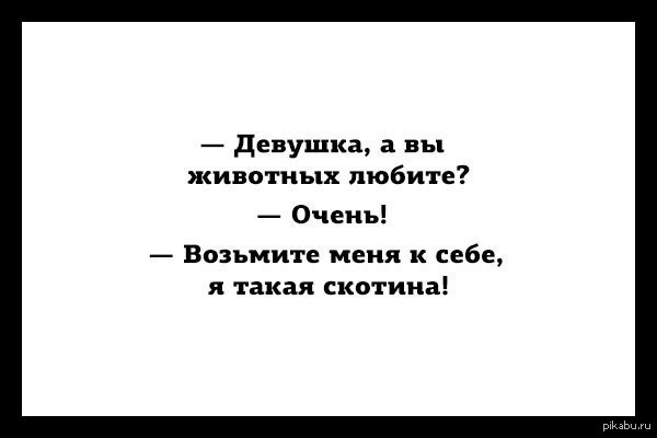 Возьми меня к себе. Девушка вы животных любите возьмите меня. Возьмите меня я такая скотина. Девушка, возьмите меня к себе. Я такая скотина. Вы любите животных я такая скотина возьмите меня к себе.