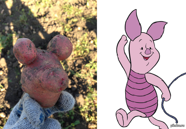 ��� ����� �������� � ��� ������