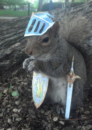 ����� ������