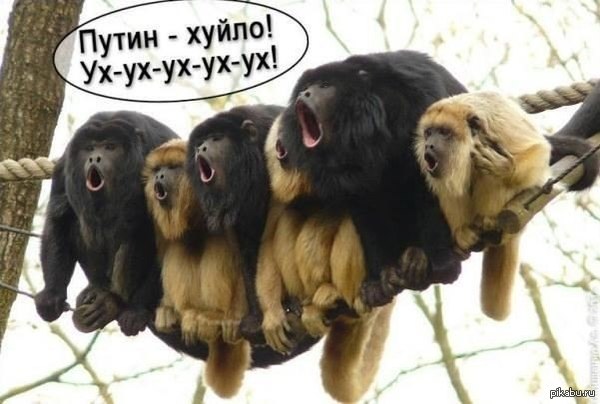 ������ ��� � ���� �� �����������