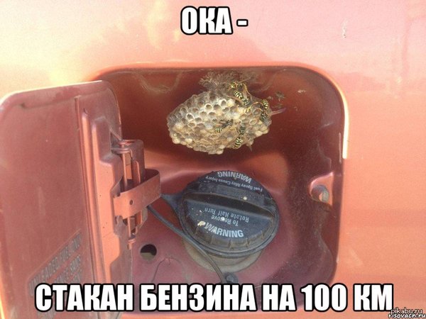 ������������...