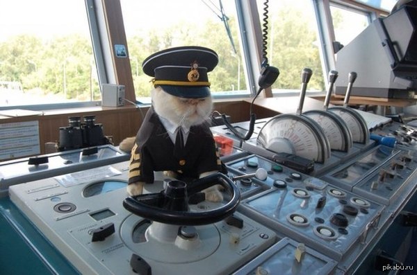 Кот-капитан, ведет корабль к вам! Дорогие Пикабушники!