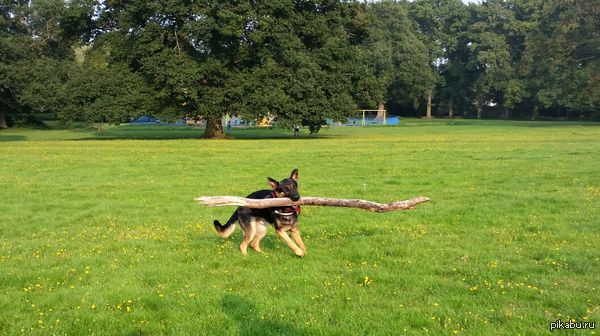 &quot;-   ..    ..? &quot; ..