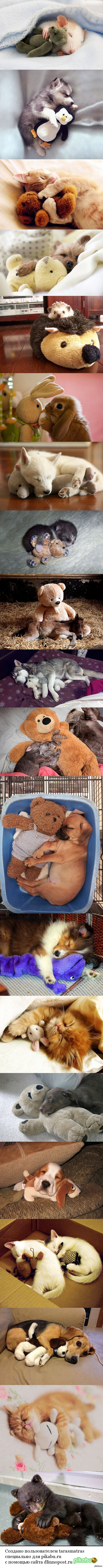 Спят усталые зверушки.