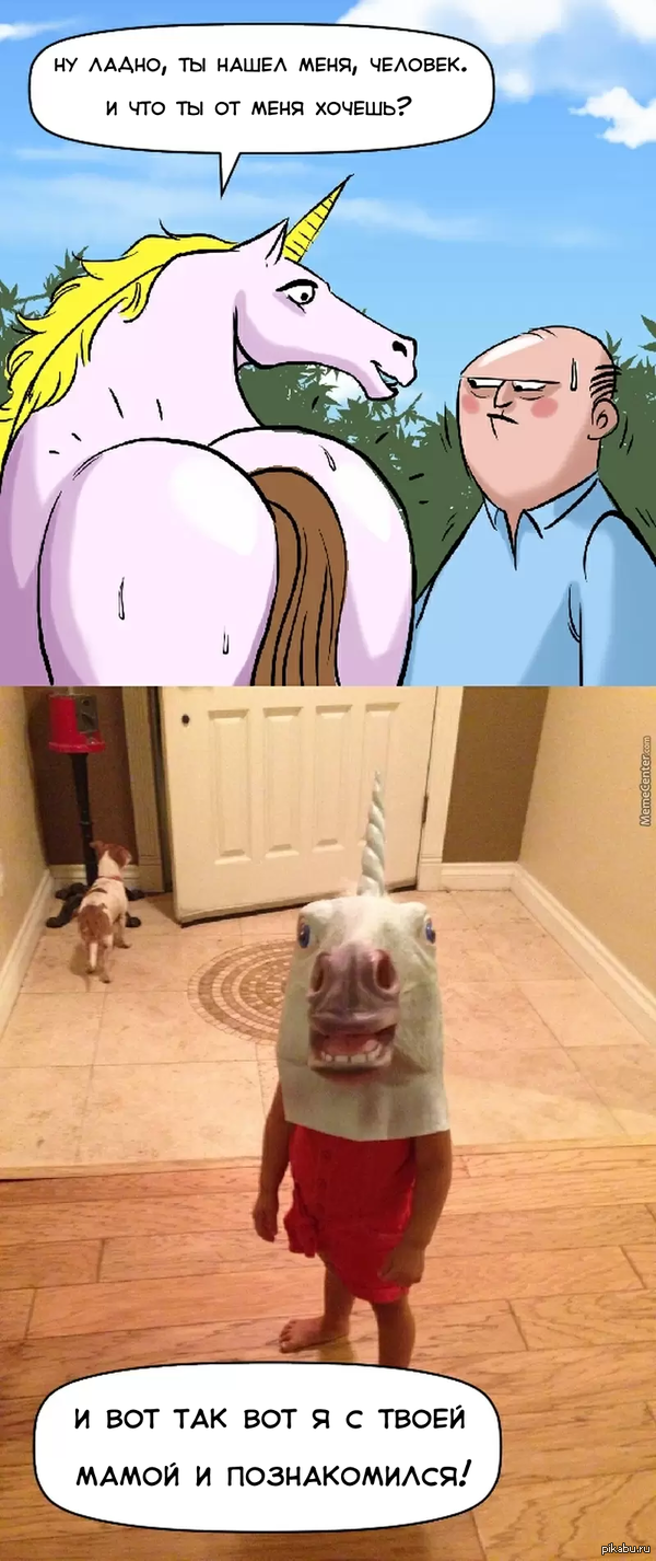 История жизни