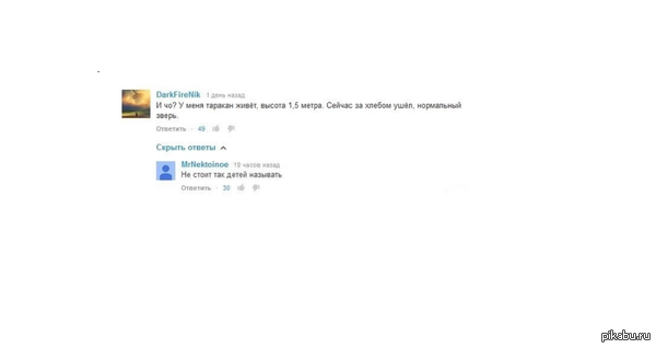 Таракан,как домашнее животное.