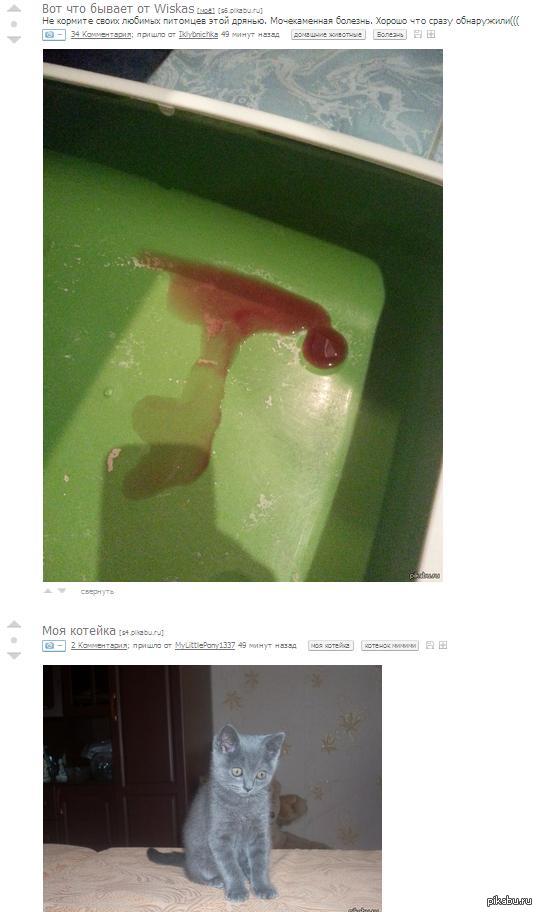 ������ ��������...