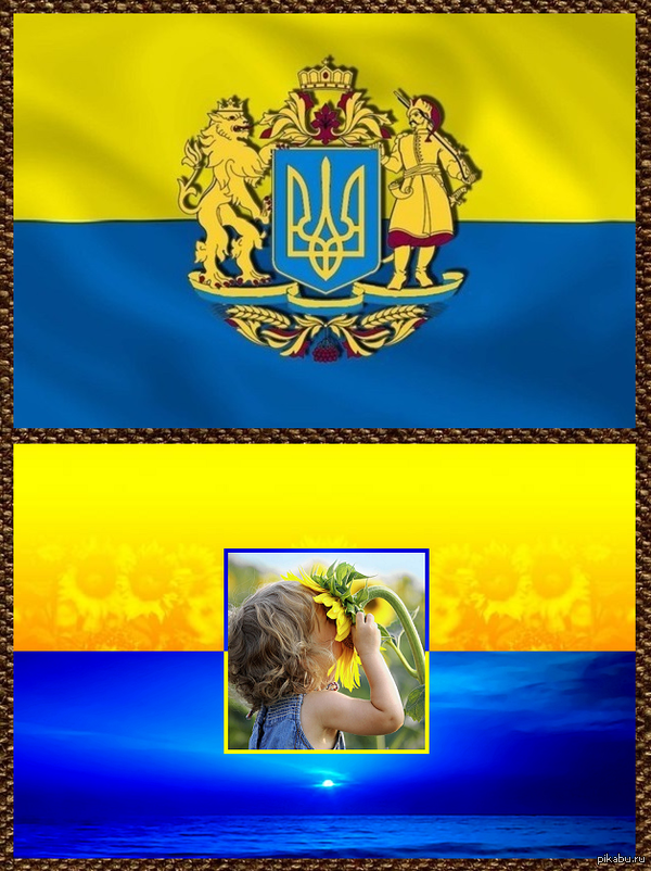Флаг Украины | Пикабу