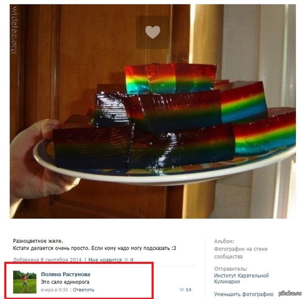 ���� ���������