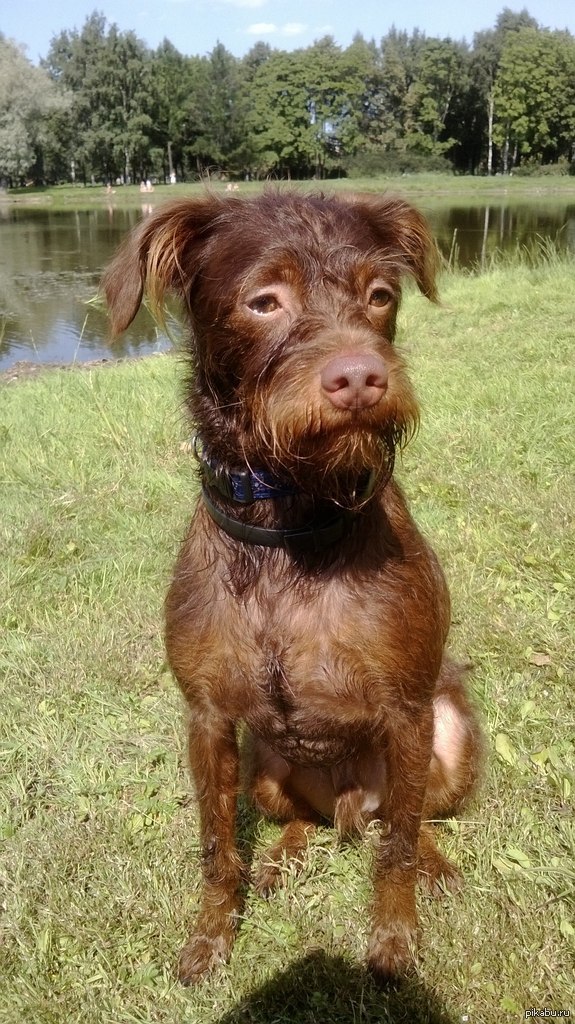 "����������" ���-������ �� 5 �����))) ��-��, ���-������.