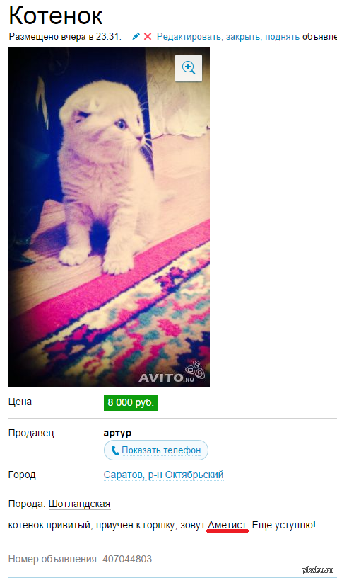 Шах и мат) | Пикабу