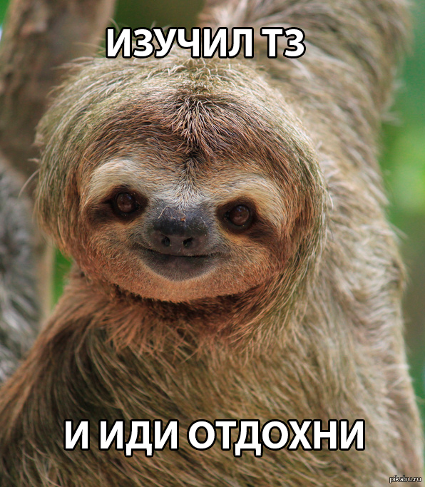 Ленивец