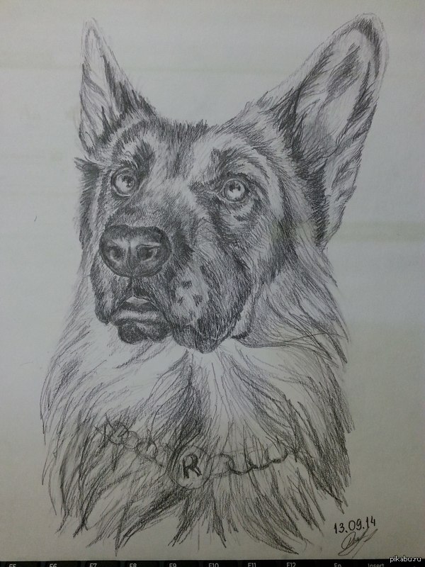 простите меня, мои дорогие подписчики