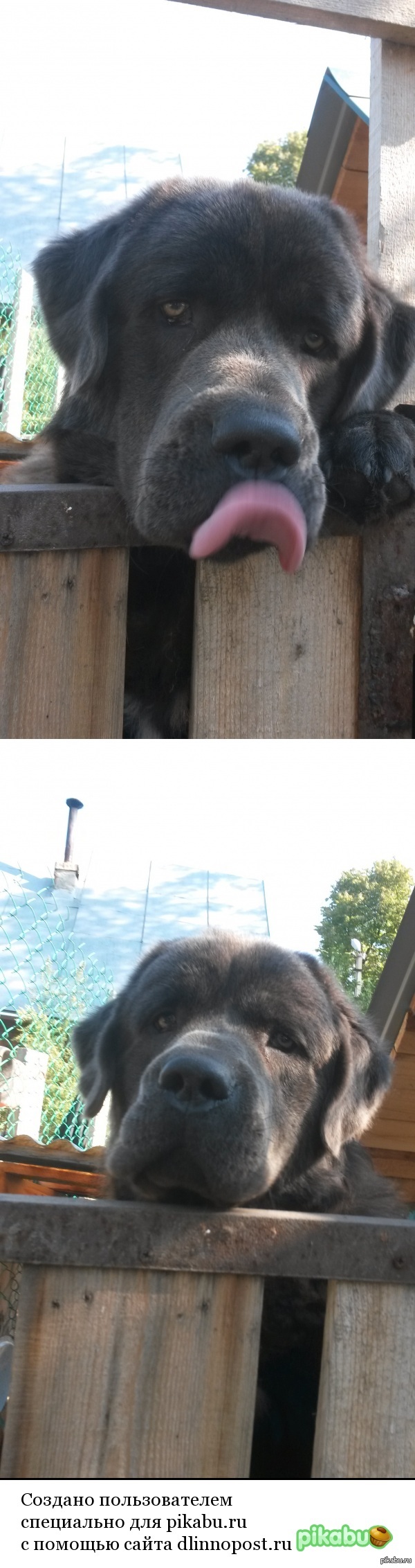 ��������! )