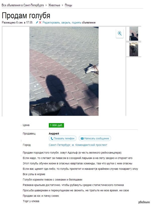 Найдено на просторах АВИТО.