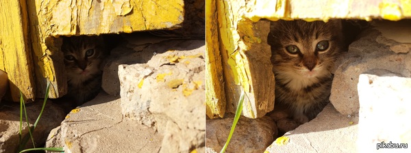 ���� ������� ���������, �� ���� ���� ���� ������ �� ����)