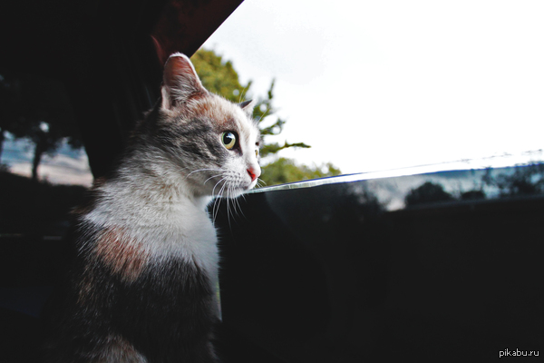 Каталась сегодня со мной.