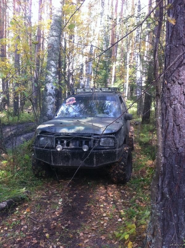 ��������,��� �� �������?)