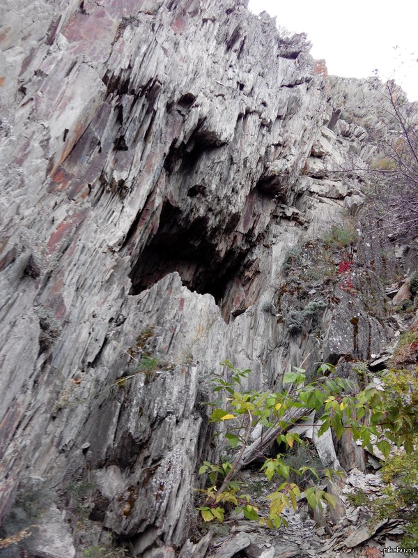 �����.....