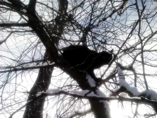 � ... � ���� ����. (BATMAN)