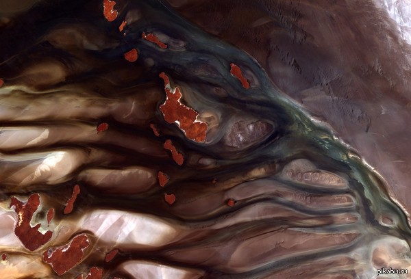 ���� ��� - 15 ��������