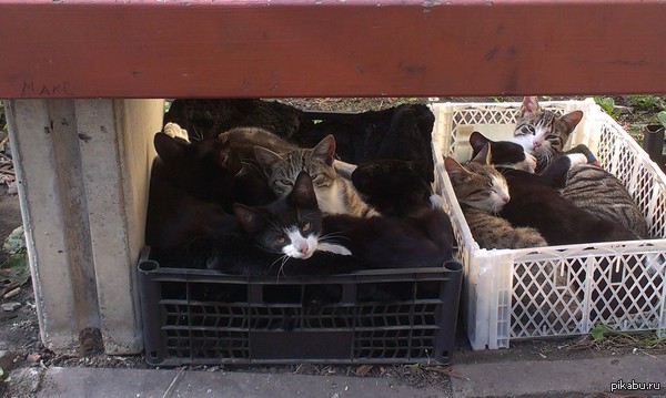 ��� ����� ����� � ������ ����! �����-���������, ����������������� �����.