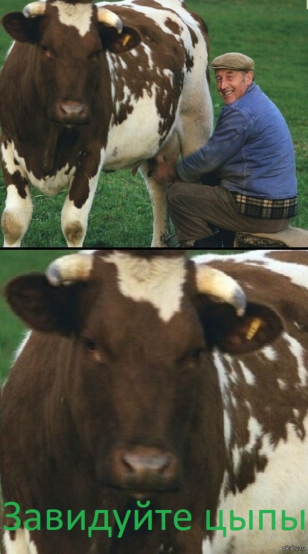 A simple man rubs a calf. - NSFW, My, 18+, First post, Paint master