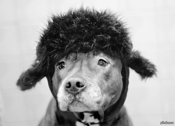 ��� ������� ������ � ������ ���������