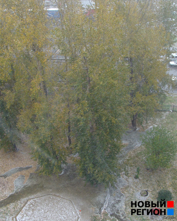 Погода класс.