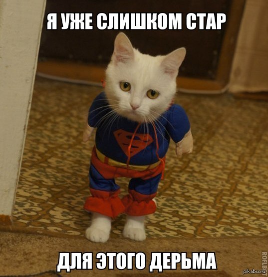Грустный котик | Пикабу