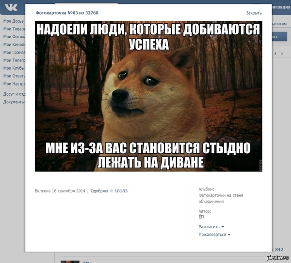  .     <a href="http://pikabu.ru/story/styidno_2666380">http://pikabu.ru/story/_2666380</a>    "",      ,    ?