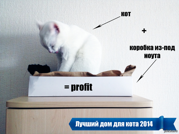 Купите ему дорогой домик, говорили они... Ему понравится, говорили они...