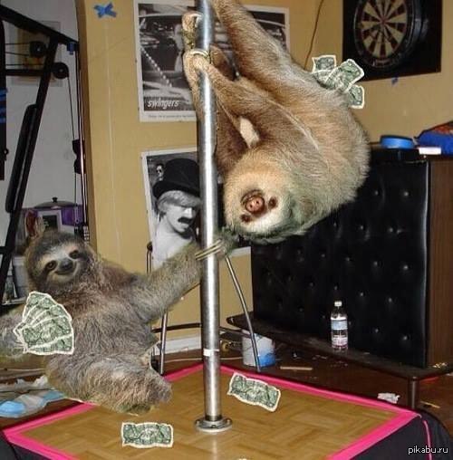 ��������� �����-����