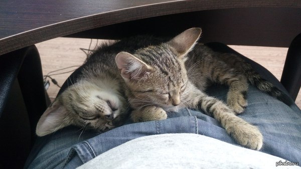 Пятничное сонное)