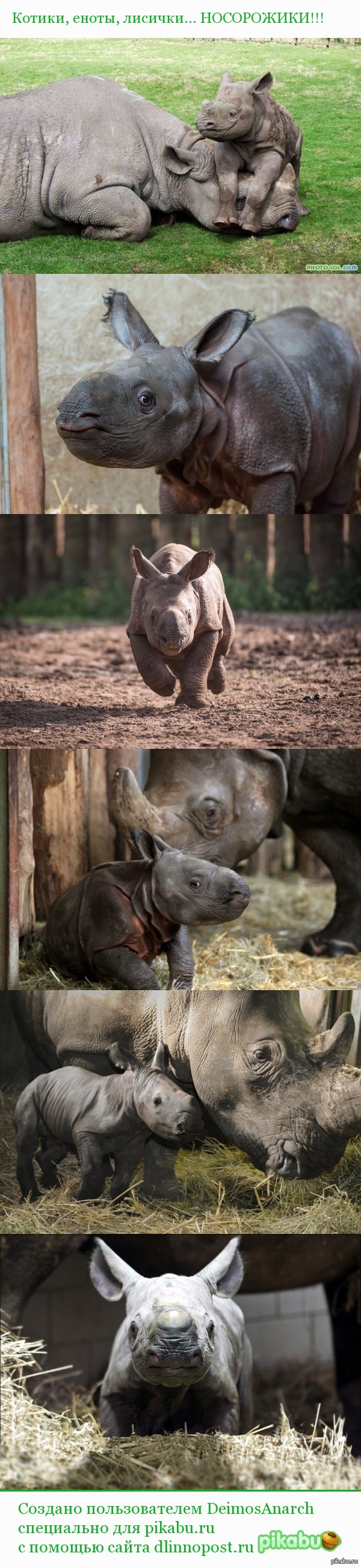 ����������!