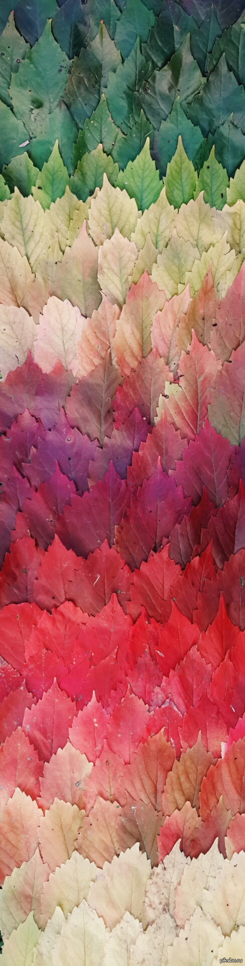 ����� ��������������