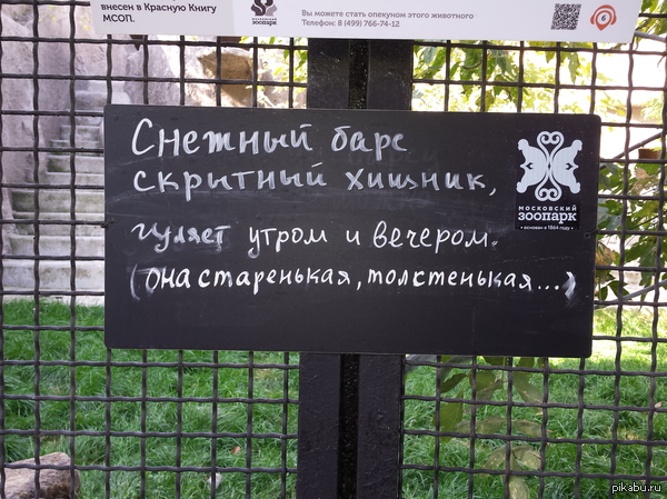 ����������, �����������