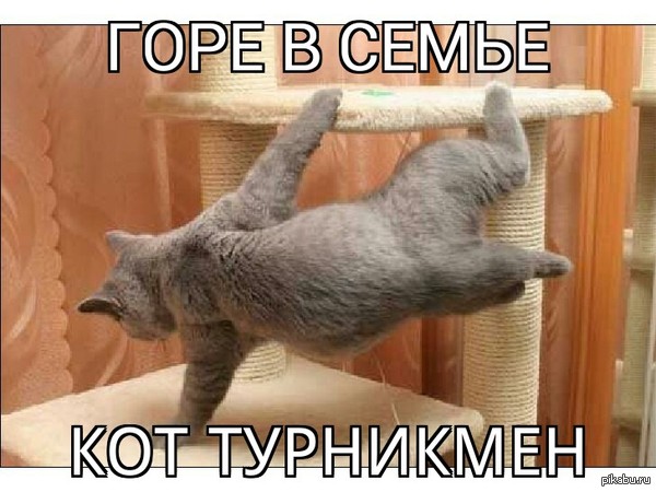 ���� � �����