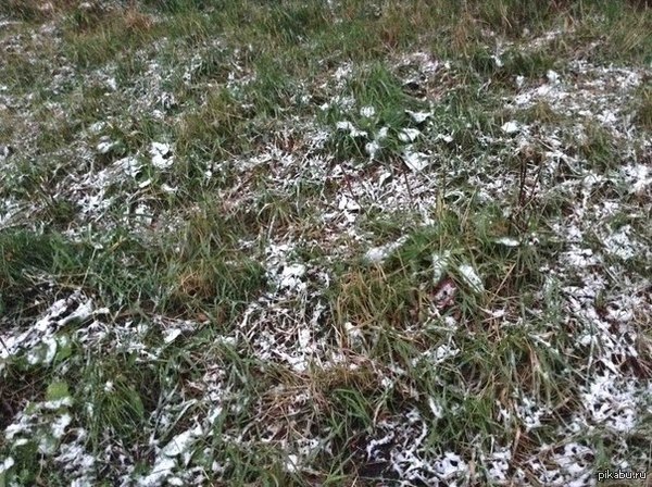 ������ ����