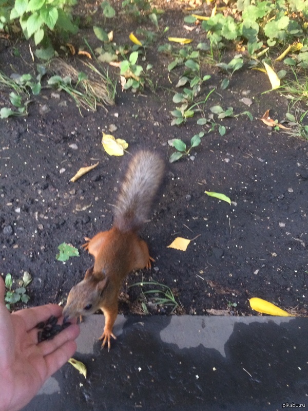 ���������� �����!)